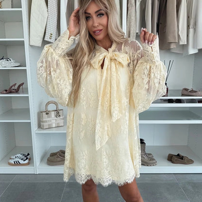 🔥Hot sale🔥- Lace Mini Dress with Bow Tie Neck👗
